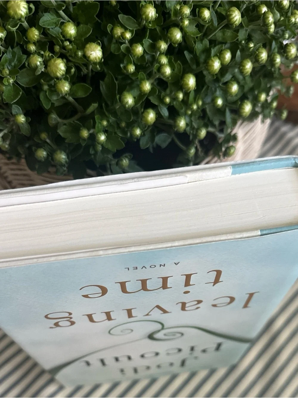 - Leaving Time (Light Blue Hardcover)